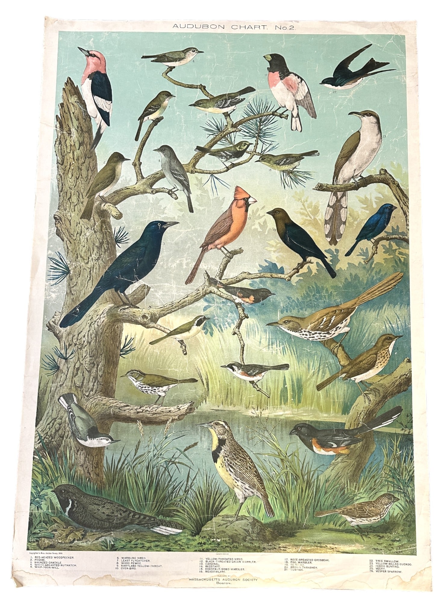 AUDUBON BIRD CHART NO. 2 c. 1900 (1 of 6)