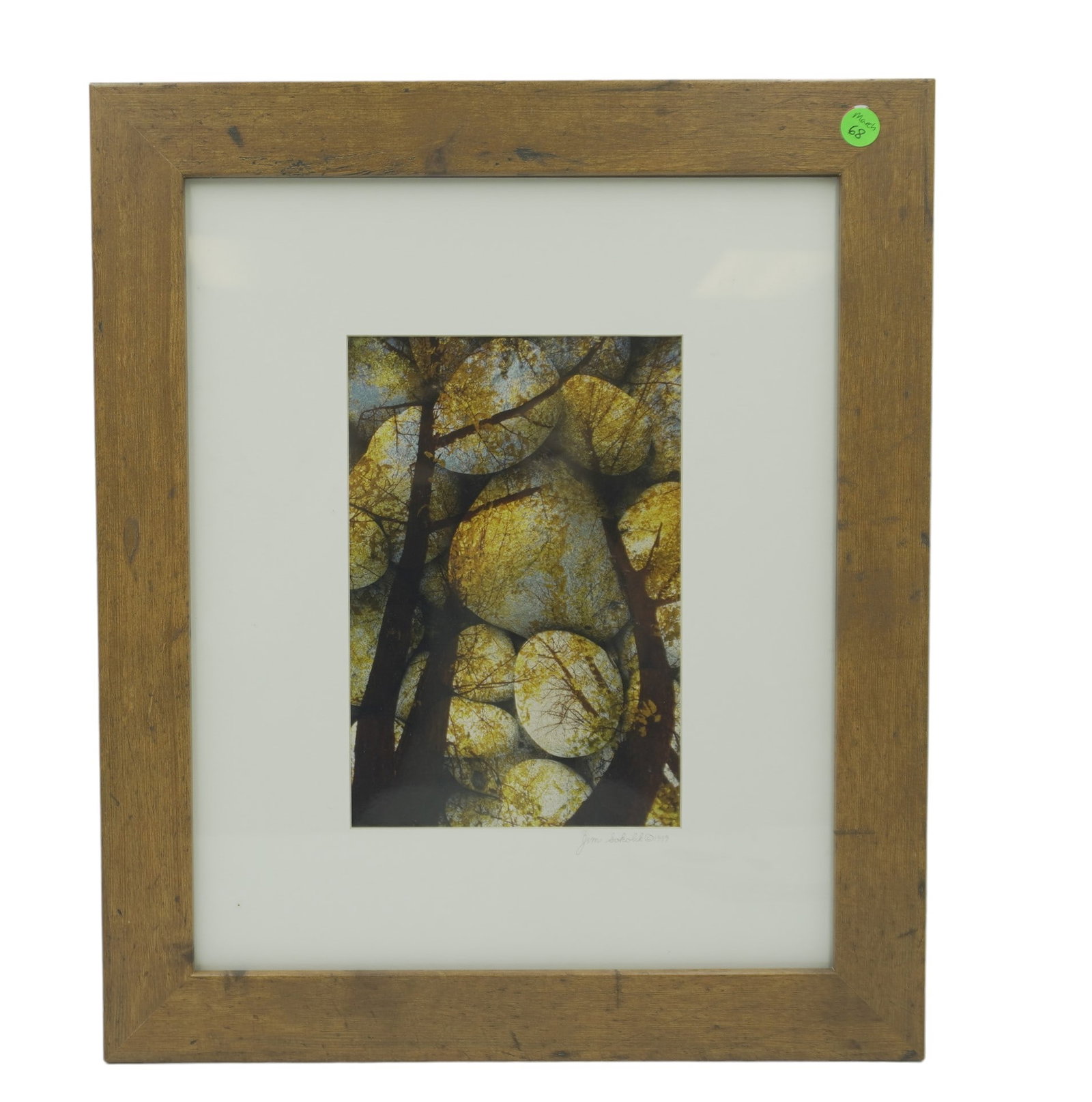 JIM SOKOLIK (1952-2023) FRAMED NATURE PHOTOGRAPH: Jim Sokolik (1952-2023) Gallery Framed Nature Photograph, Rocks, Sky, Tree. In wood frame measures 16.5"x19.5"x1". Weight 3 lbs 9 oz. Jim had a creative mind and a love of nature that he expressed thr