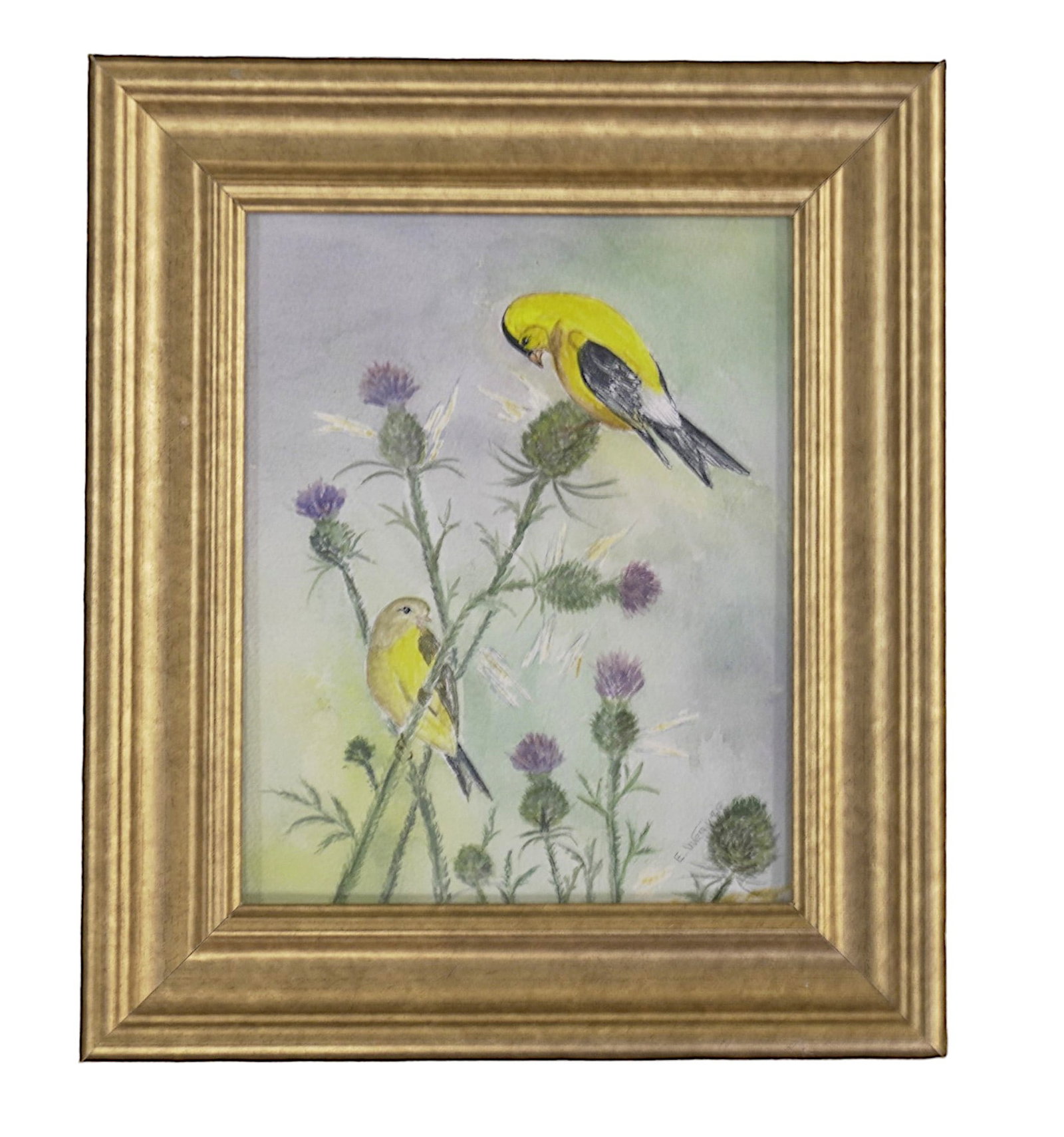ORIGINAL GOLDFINCH WATERCOLOR: An original Watercolor Painting of a pair of American Goldfinch and Thistle by E. Weaver. In frame measures 9"x11"x1". Weight 15 oz. PROVENANCE: A Charleston SC Private Estate