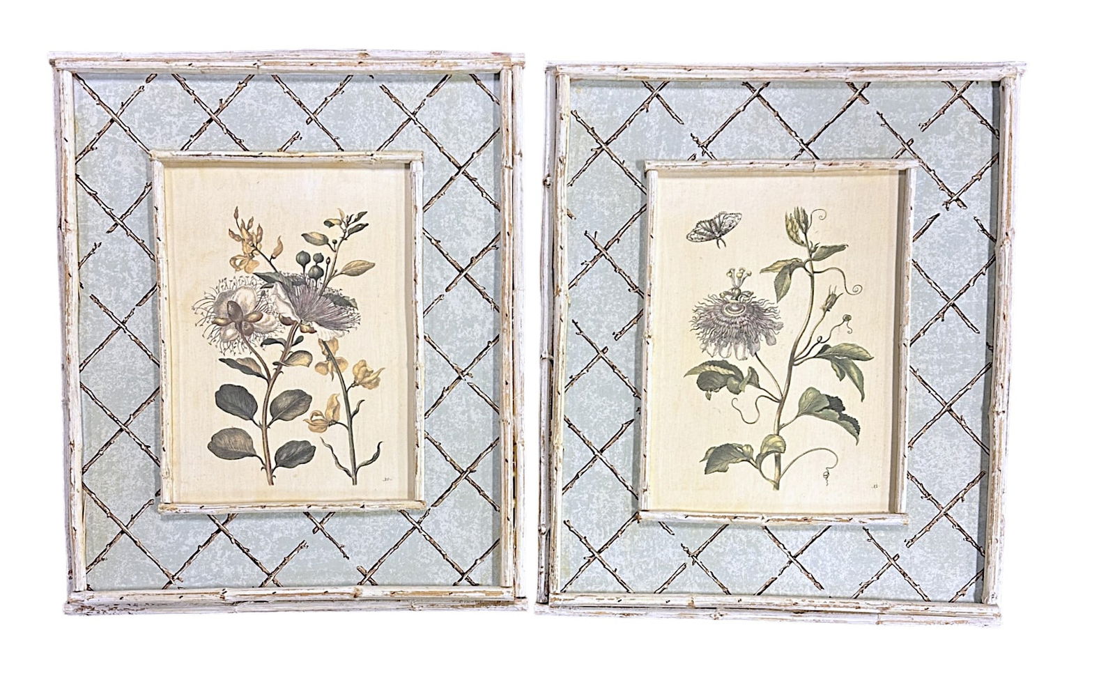 DESIGNER FRAMED BOTANICAL PRINTS ON BOARD (1 of 2)