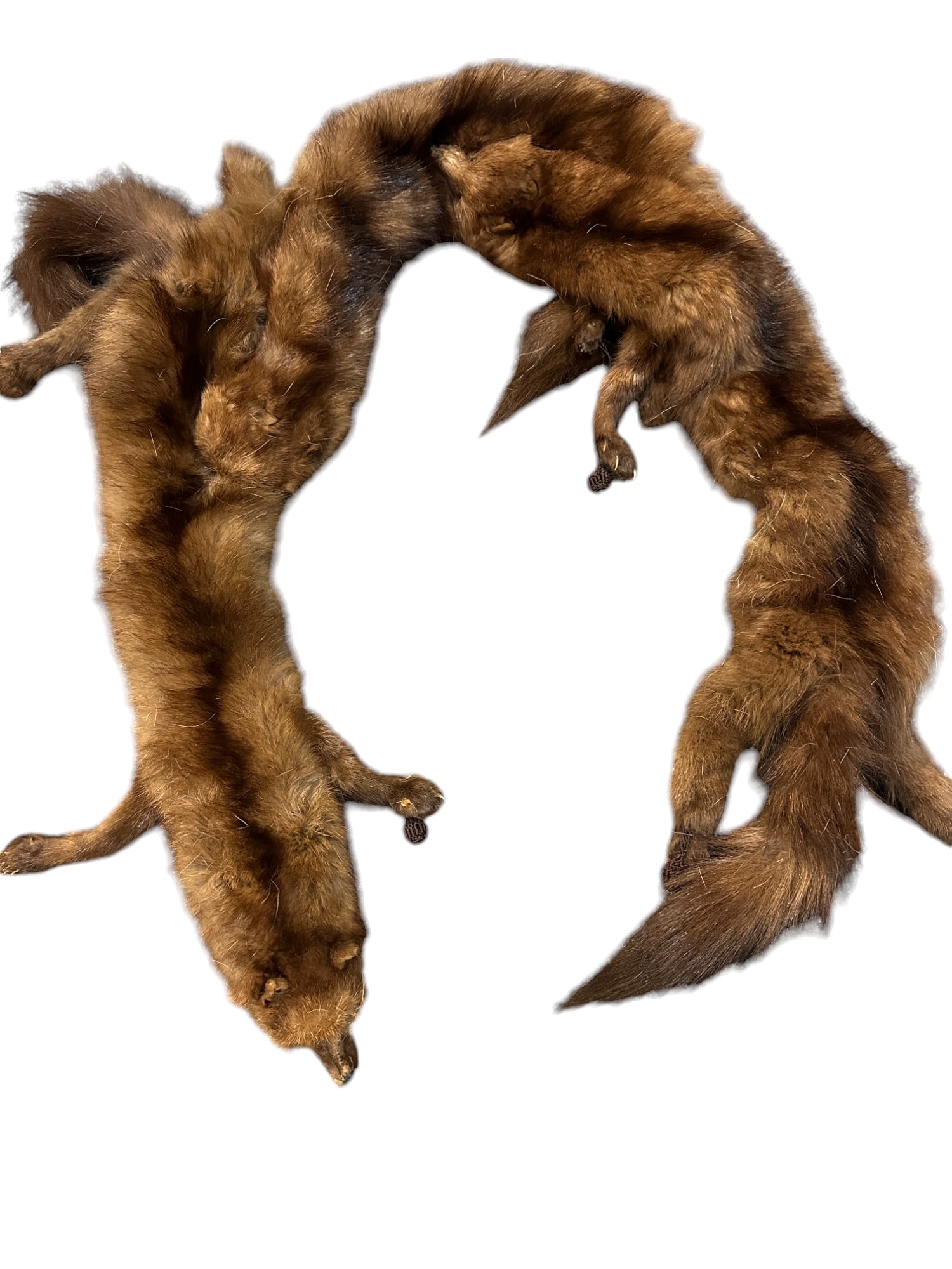 GROUPING OF VINTAGE FUR PELTS (1 of 9)