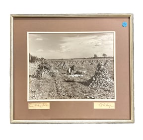 LANGE CORN HUSKING TIME SEPIA PHOTOGRAPH