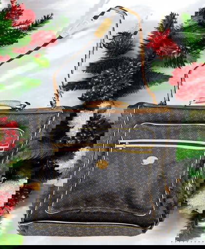 Vintage Louis Vuitton Garment Bag