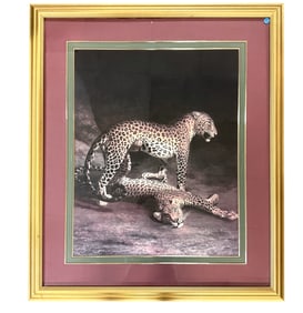 JACQUE LAURENT AGASSE CHARLESTON COLLECTION