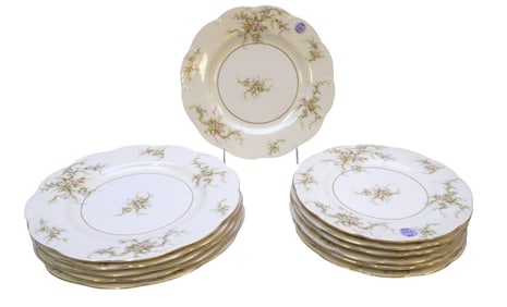 12 THEODORE HAVILAND ROSALINDE PLATES - SALAD AND DINNER