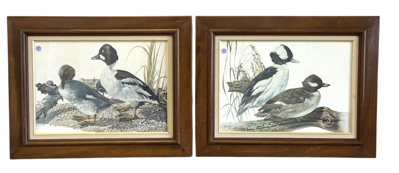2 FRAMED LEE LEBLANC DUCK PRINTS (1 of 4)