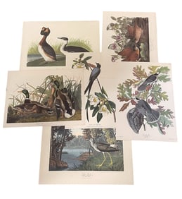 VINTAGE NORTHWESTERN MUTUAL AUDUBON PORTFOLIO 7