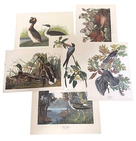 MID-CENTURY NORTHWESTERN MUTUAL PORTFOLIO OF AUDUBON PRINTS - 4 PIECES