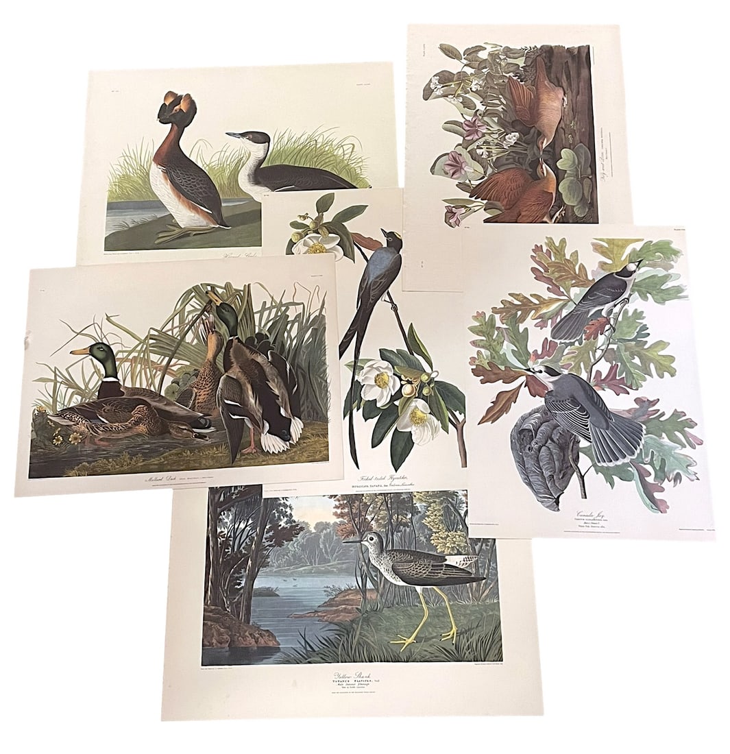 MID-CENTURY NORTHWESTERN MUTUAL PORTFOLIO OF AUDUBON PRINTS - 4 PIECES (1 of 2)