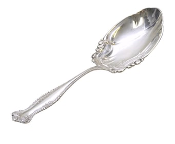 LARGE STERLING SILVER CANTERBURY CASSEROLE SPOON