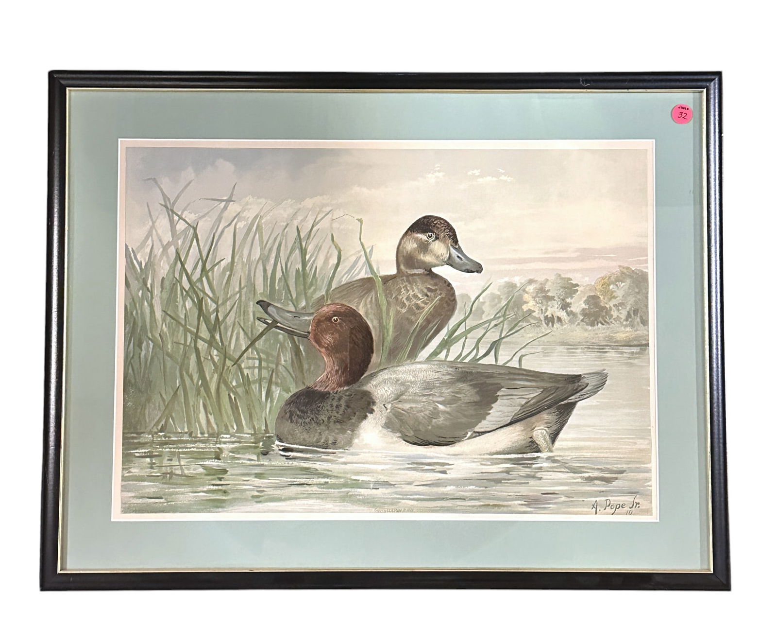 ALEXANDER POPE JR 1878 CHROMOLITHOGRAPH DUCKS (1 of 4)
