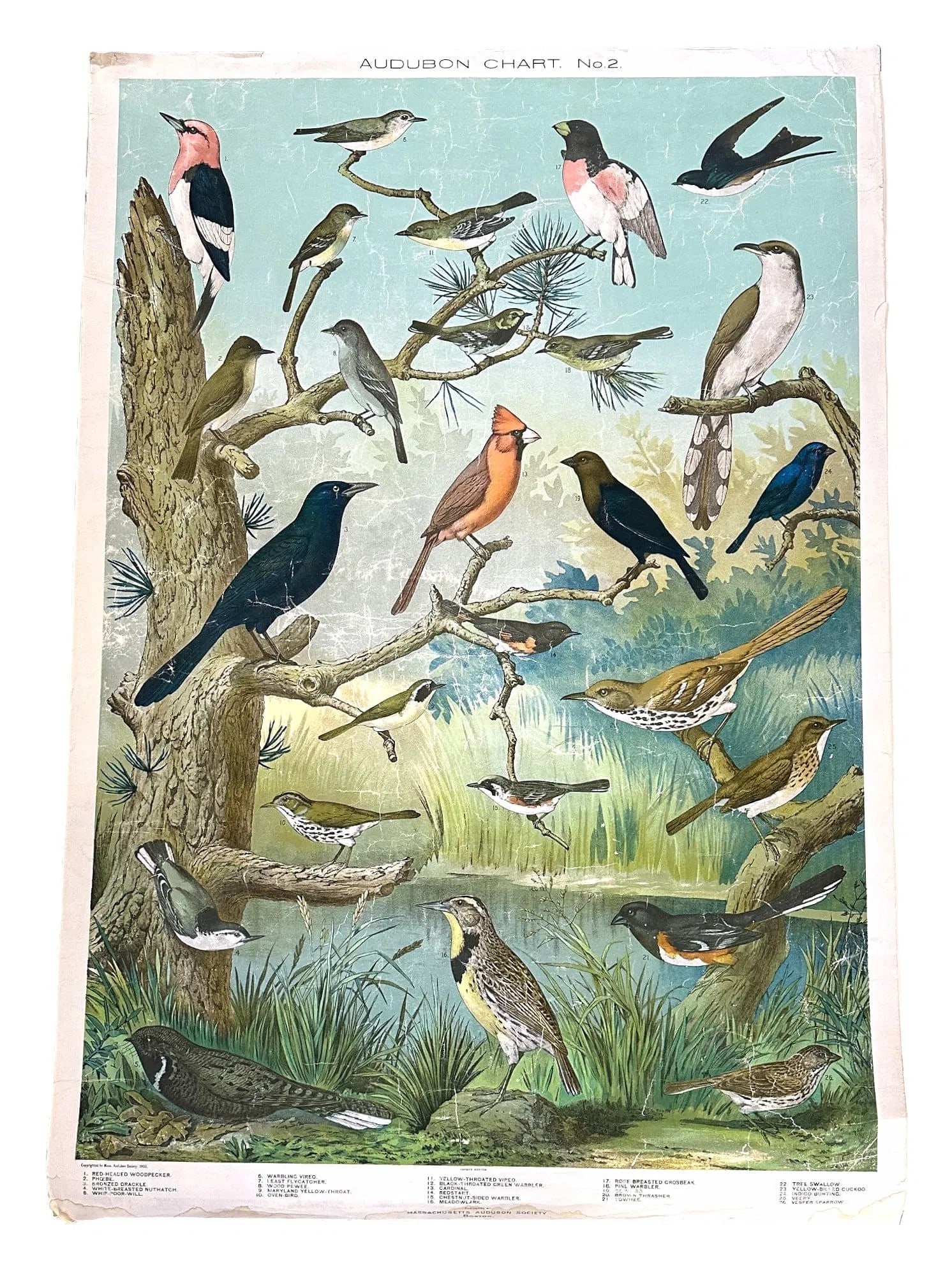 AUDUBON BIRD CHART NO. 2 c. 1900 (1 of 2)