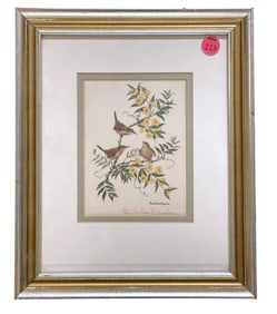 CAROLINA WREN AND YELLOW JESSAMINE ANNE RICHARDSON