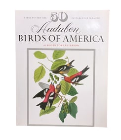 AUDUBON BIRDS OF AMERICA 50 PRINTS READY TO FRAME BY ROGER TORY PETERSON