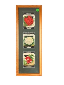 FRAMED 1920S CARD SEED CO SEED PACKETS
