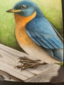ORIGINAL ERIC J DULL WATERCOLOR BLUE BIRD