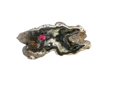 AGATIZED FOSSIL CORAL GEODE