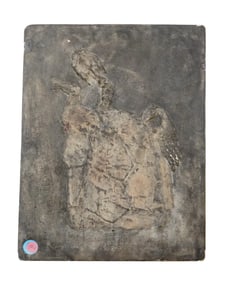 TRIASSIC PROGANOCHELYS FOSSIL