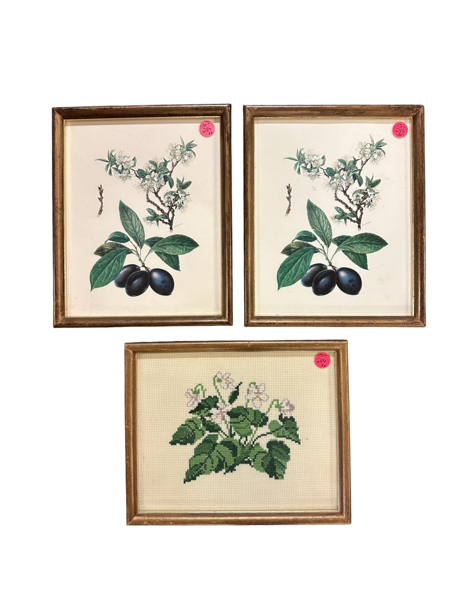 3 pc ANTIQUE BOTANICAL PRINTS & NEEDLEPOINT (1 of 3)