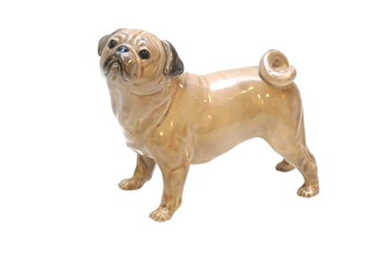 VINTAGE ENGLISH CREAMWARE PUG