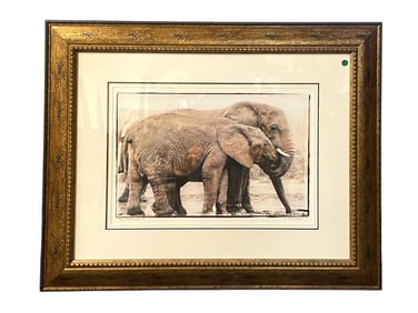 MARLENE NEUMANN LTD ED ELEPHANTS PHOTOGRAPH