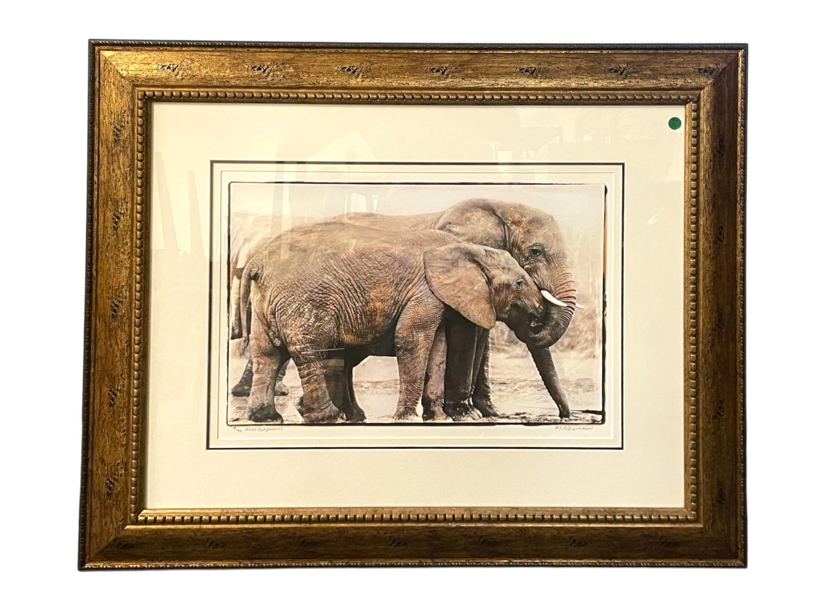 MARLENE NEUMANN LTD ED ELEPHANTS PHOTOGRAPH (1 of 3)