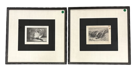 2 ANTIQUE ENGRAVINGS STILL LIFE WITH GAME