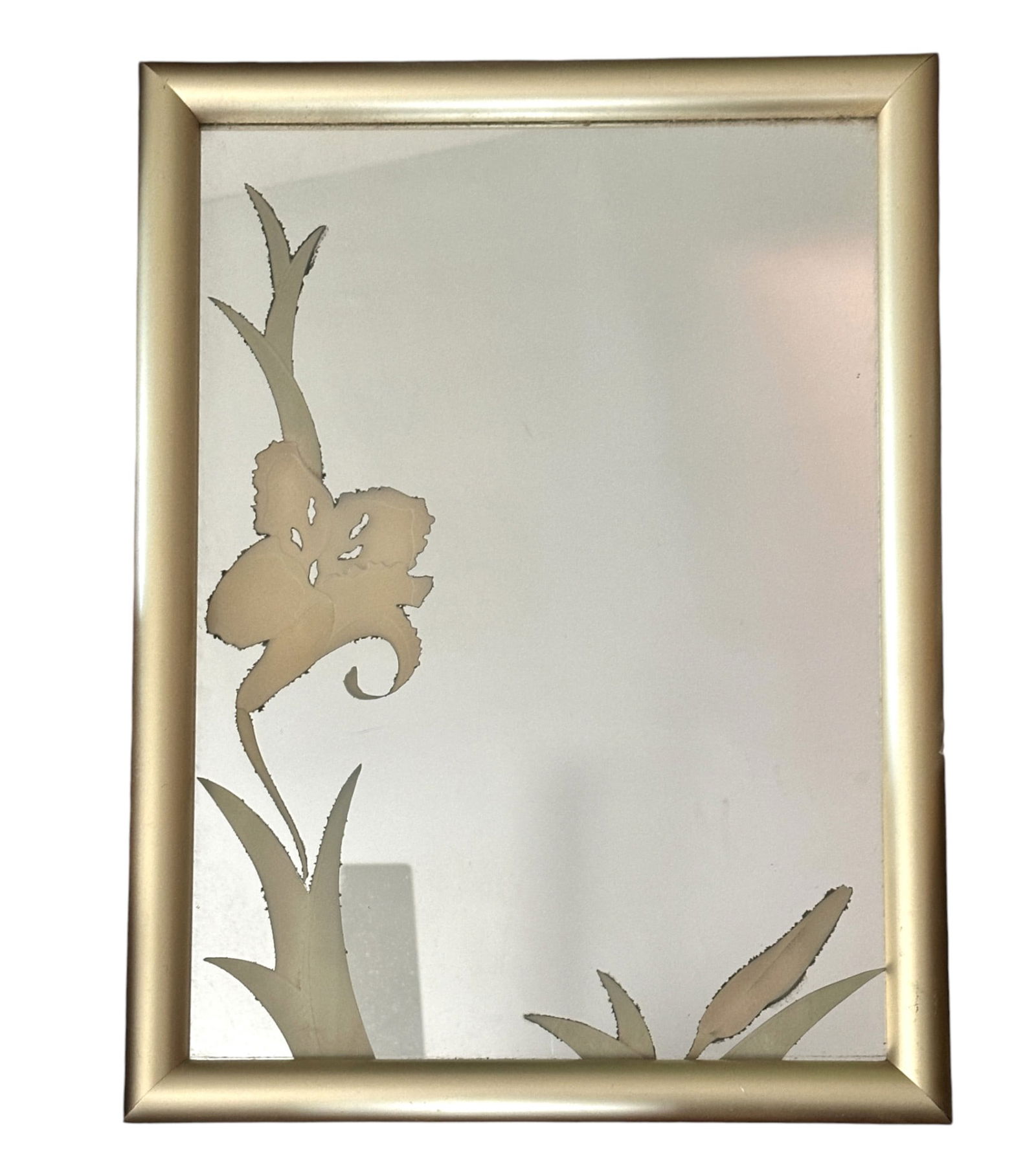 VINTAGE  DECO/ POST MODERN ETCHED FLORAL DECORATIVE WALL MIRROR (1 of 1)