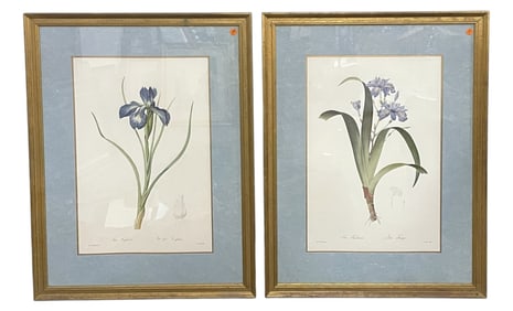 2 LARGE REDOUTE IRIS BOTANICAL PRINTS FRAMED