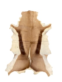 VINTAGE SPRINGBOK HIDE RUG