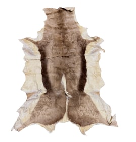 VINTAGE SPRINGBOK HIDE RUG