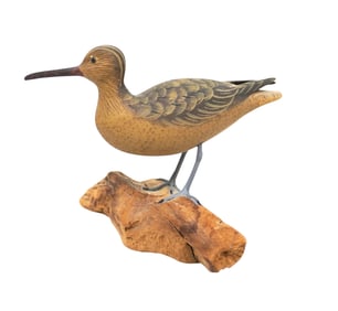 JOHN & PATTY WATERFIELD CURLEW