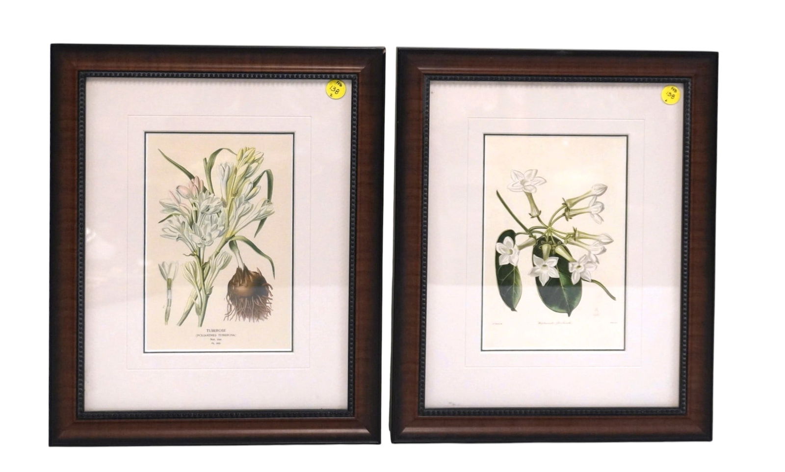 PAIR 19th c BOTANICAL ENGRAVINGS FRAMED (1 of 4)