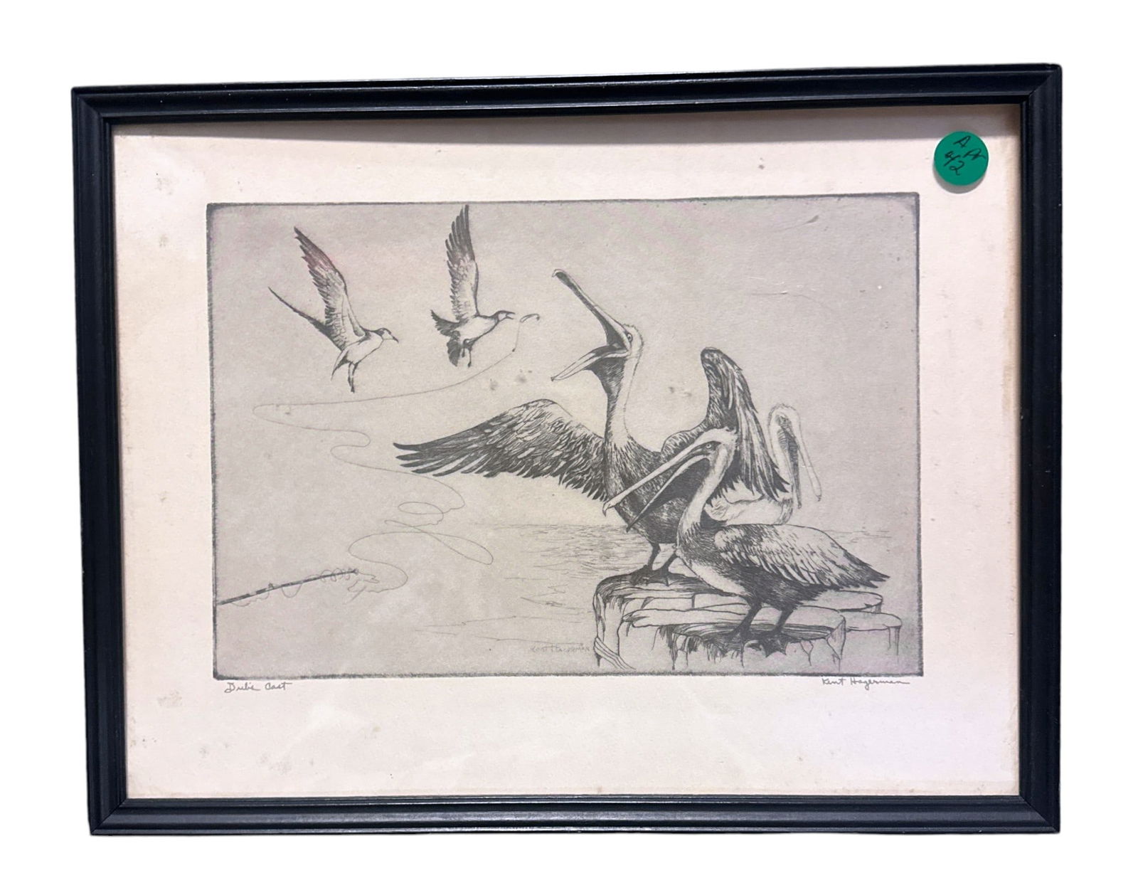 WILLIAM KENT HAGERMAN PELICANS ETCHING: William Kent Hagerman (1893-1978) Pelican & Gull Etching. Framed 13 1/2"x10 1/2"x 1/2". Weight 1 lb 6 oz. Kent Hagerman was a visual artist, well known for his sculptures and etchings. He was a