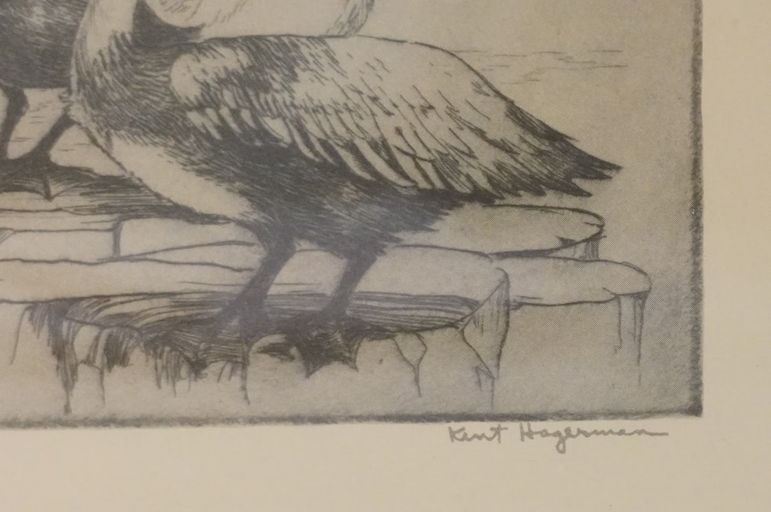 WILLIAM KENT HAGERMAN PELICANS ETCHING - 3