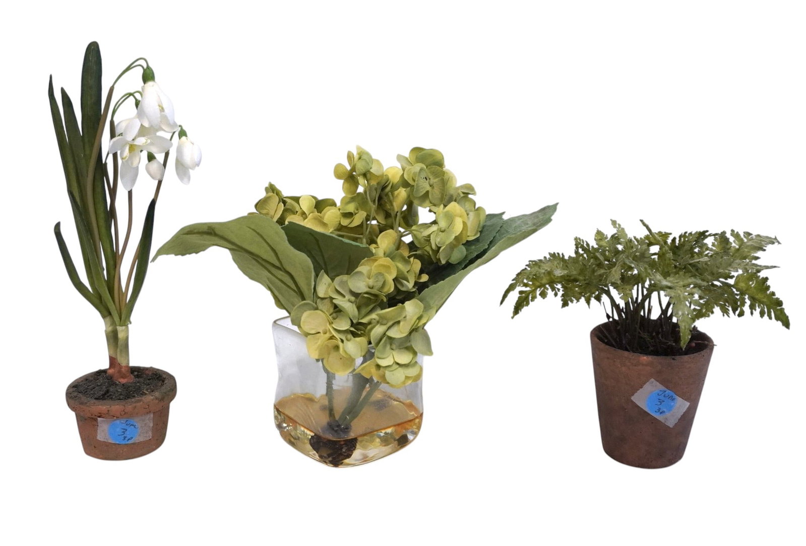 3 FAUX FLORAL & FERN ARRANGEMENTS: 3 Faux Floral and Fern in Pots and Glass. Tallest 10 1/4". Perfect for people like me with the opposite of a green thumb, Weight on all combined. 1 lb 12 oz. PROVENANCE The Historic R.M. Venning House