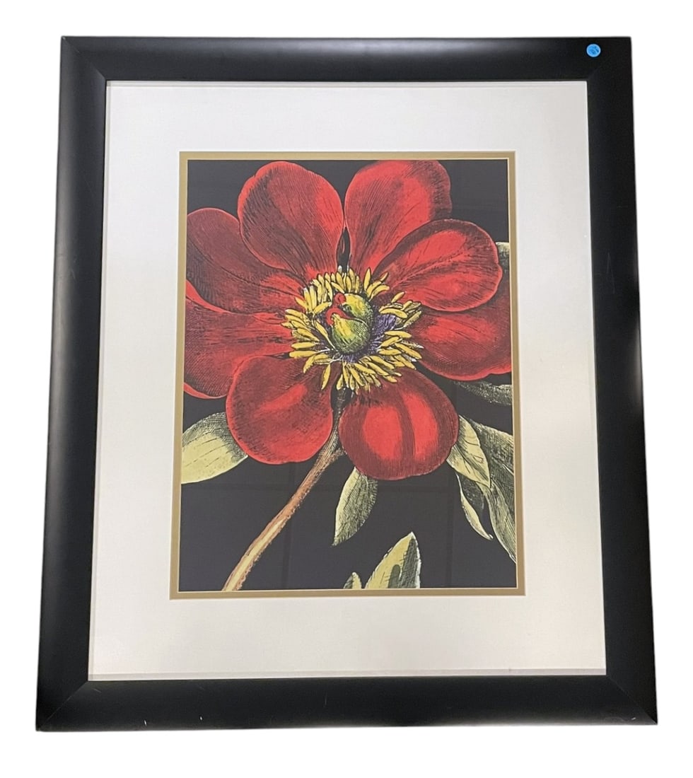 LARGE CONTEMPORARY PEONY ON BLACK PRINT (1 of 4)