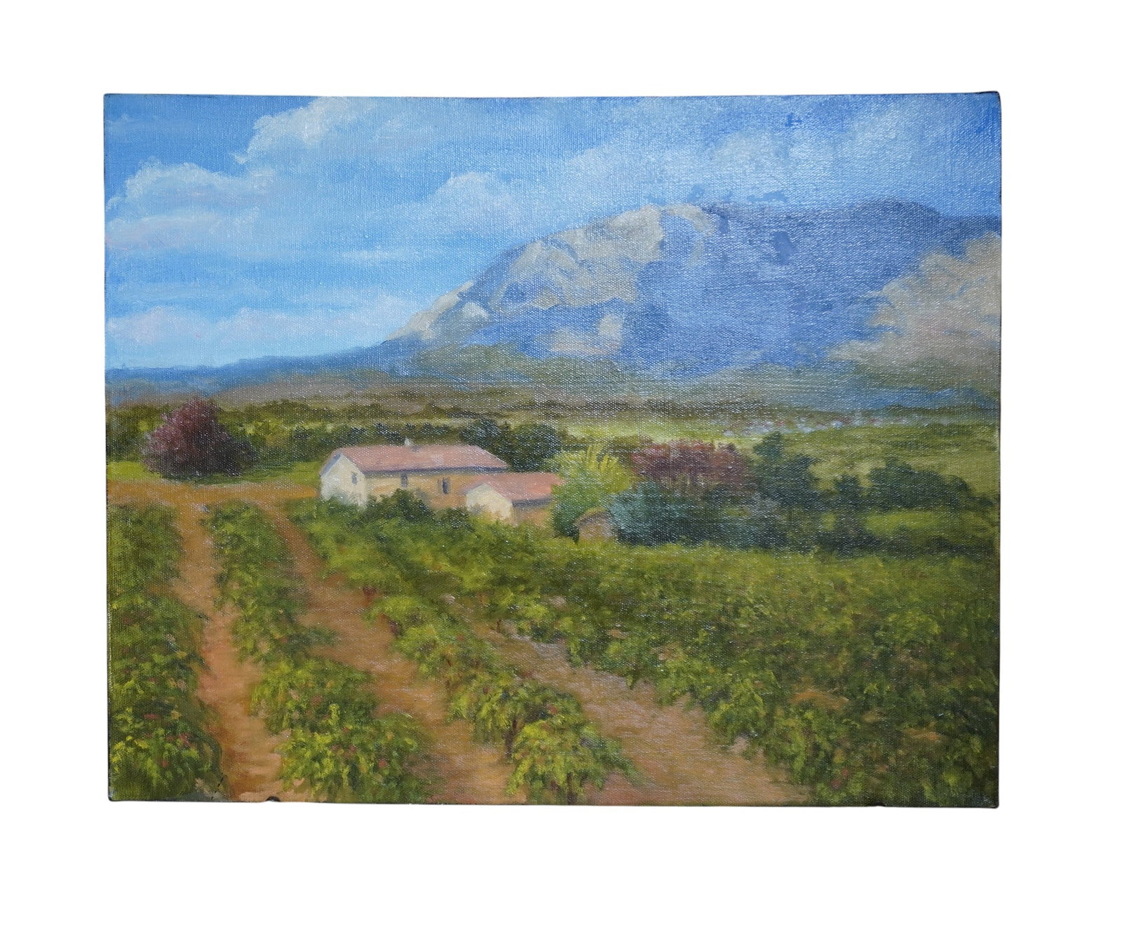 LARRY LEVOW (savannah, b 1934) MT ST VICTOIRE OIL ON CANVAS: Larry Levow, Mt. St. Victoire Vineyard, Aix en Provence Oil on Canvas.a French vineyard landscape, signed, titled and dated 2016 on verso, unframed on stretcher. MEASUREMENTS: Height: 16 in. x Width: 