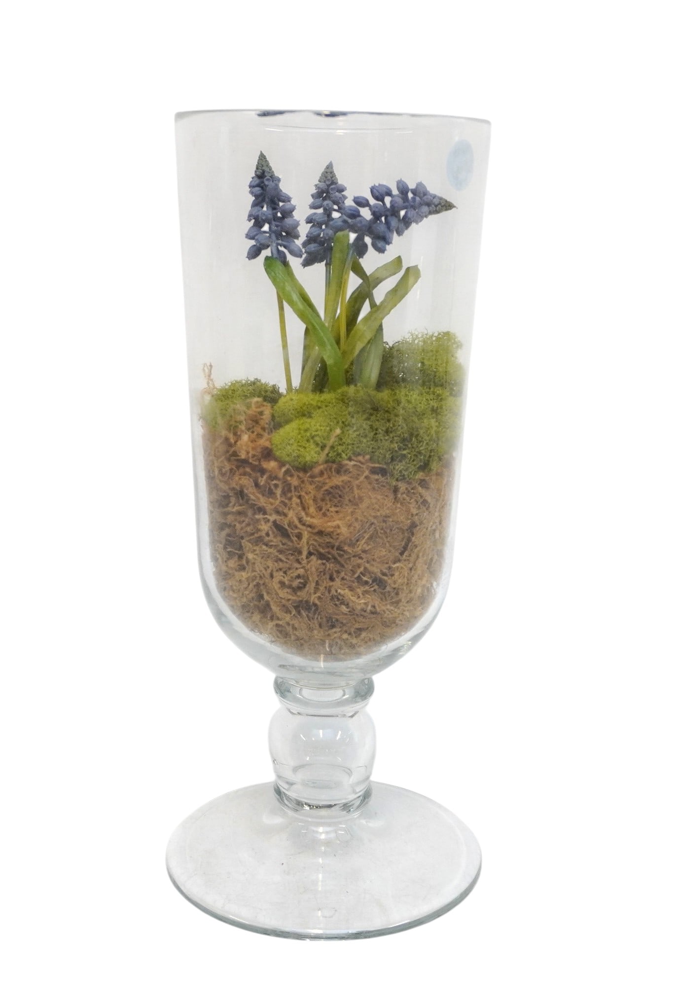 FRENCH COUNTRY STYLE FAUX GRAPE HYACINTH TERRARIUM (1 of 2)