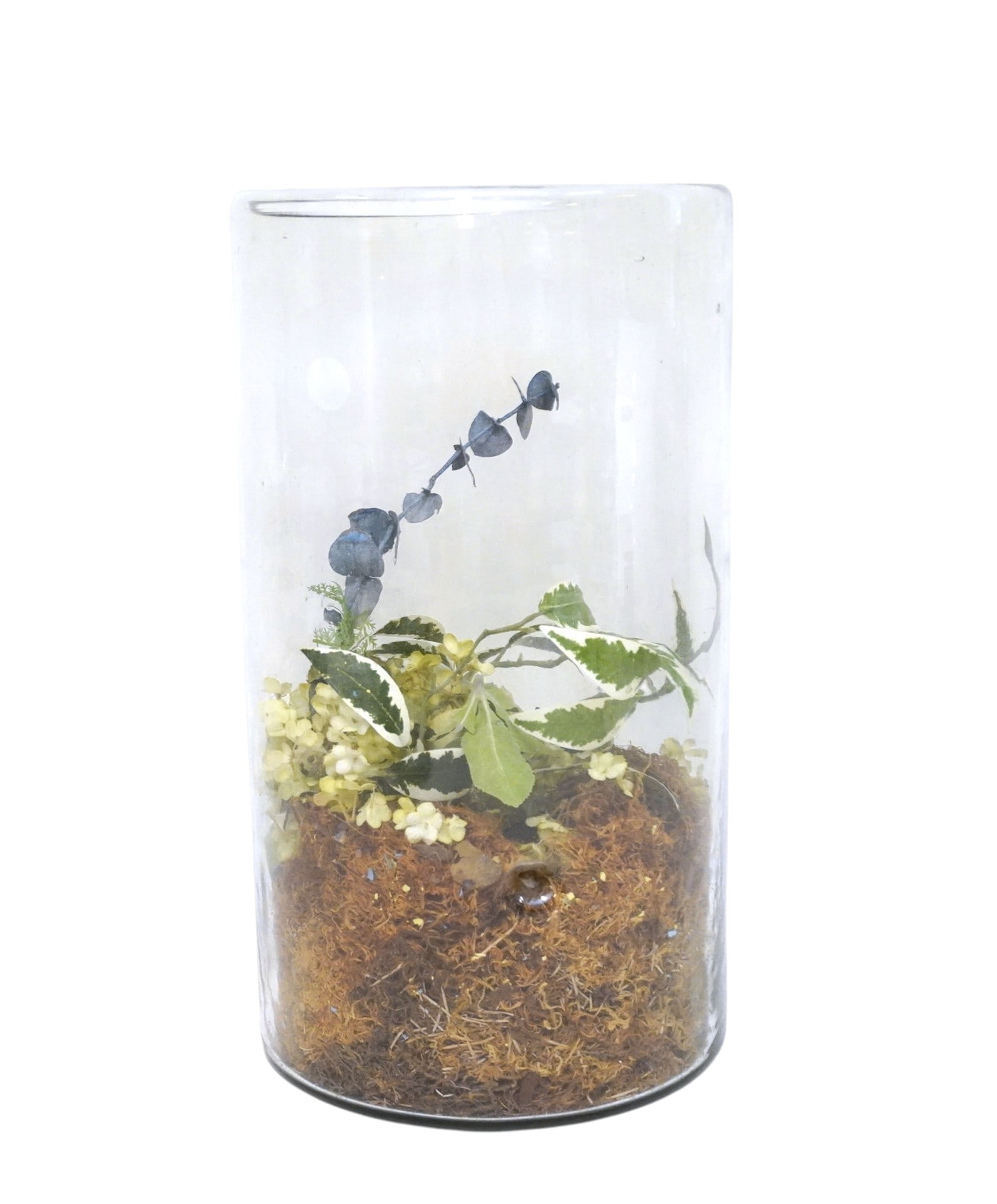 LARGE HAND BLOWN GLASS TERRARIUM (1 of 1)