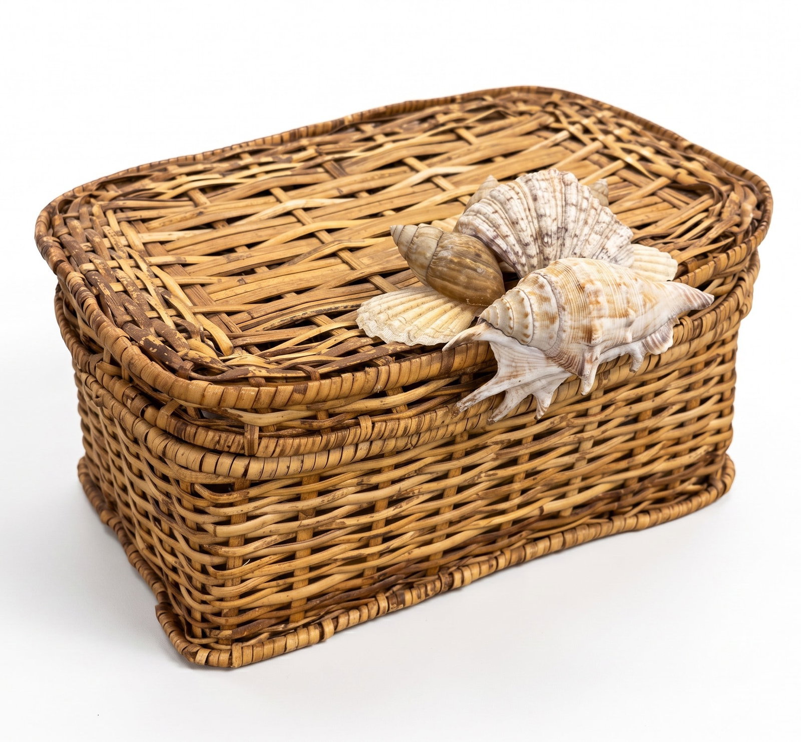 VINTAGE HANDWOVEN SEASHELL BASKET (1 of 7)