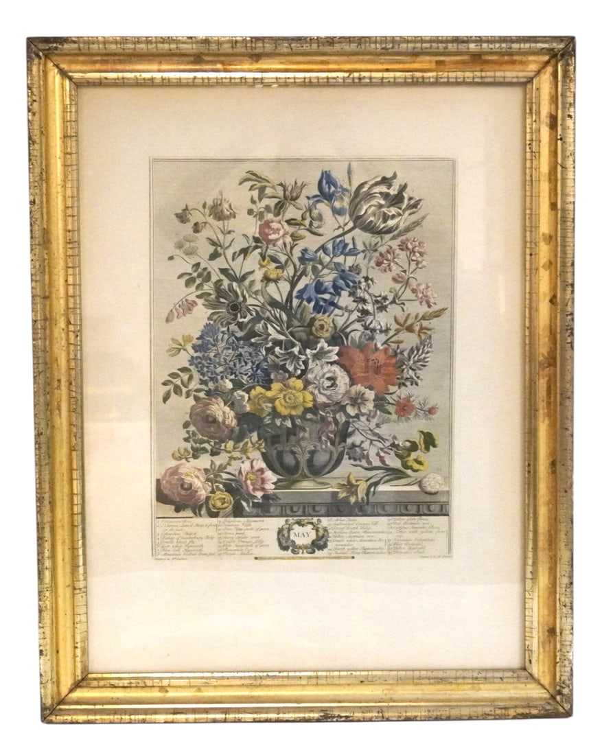 HAND COLORED ENGRAVING "MAY" BOTANICAL FLOWERS: Robert Furber (1674-1756) Hand Colored Botanical Engraving "May" Flowers. Professionally framed and matted n gilt wood frame. In frame measures 21"x27"x1 1/4". Weight 9 lbs, Provenance: A Washington D