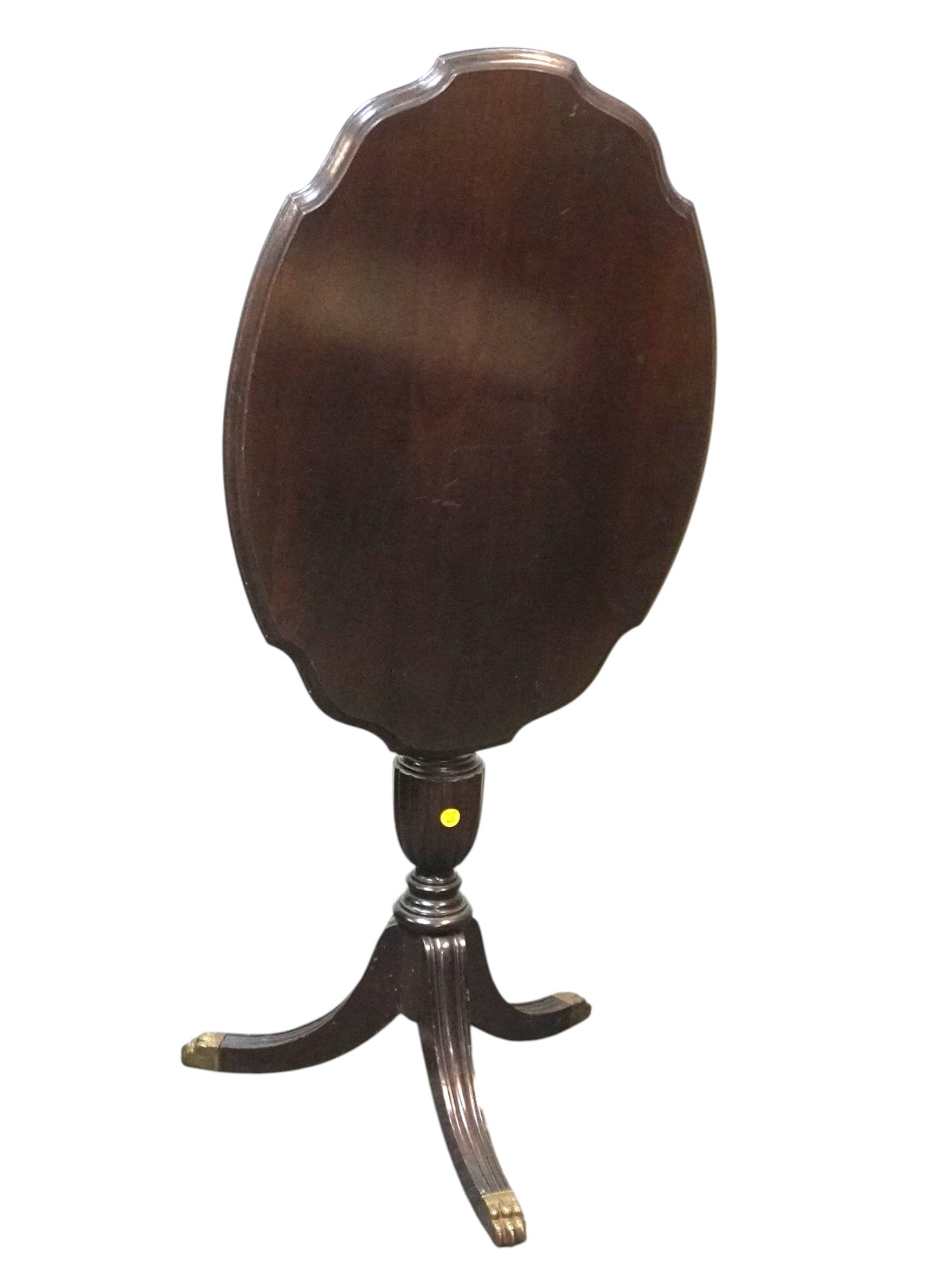 ANTIQUE MAHOGANY TILT TOP TEA TABLE ON BRASS PAW FEET (1 of 6)