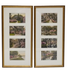 8 HAND COLORED MIDDLETON PLACE POSTCARDS FRAMED