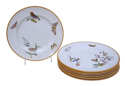 7 WEDGWOOD CREAMWARE HUMMINGBIRD & FLORA DINNER PLATES