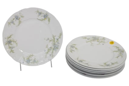 7 FLORAL ANTIQUE LIMOGES PORCELAIN SALAD PLATES