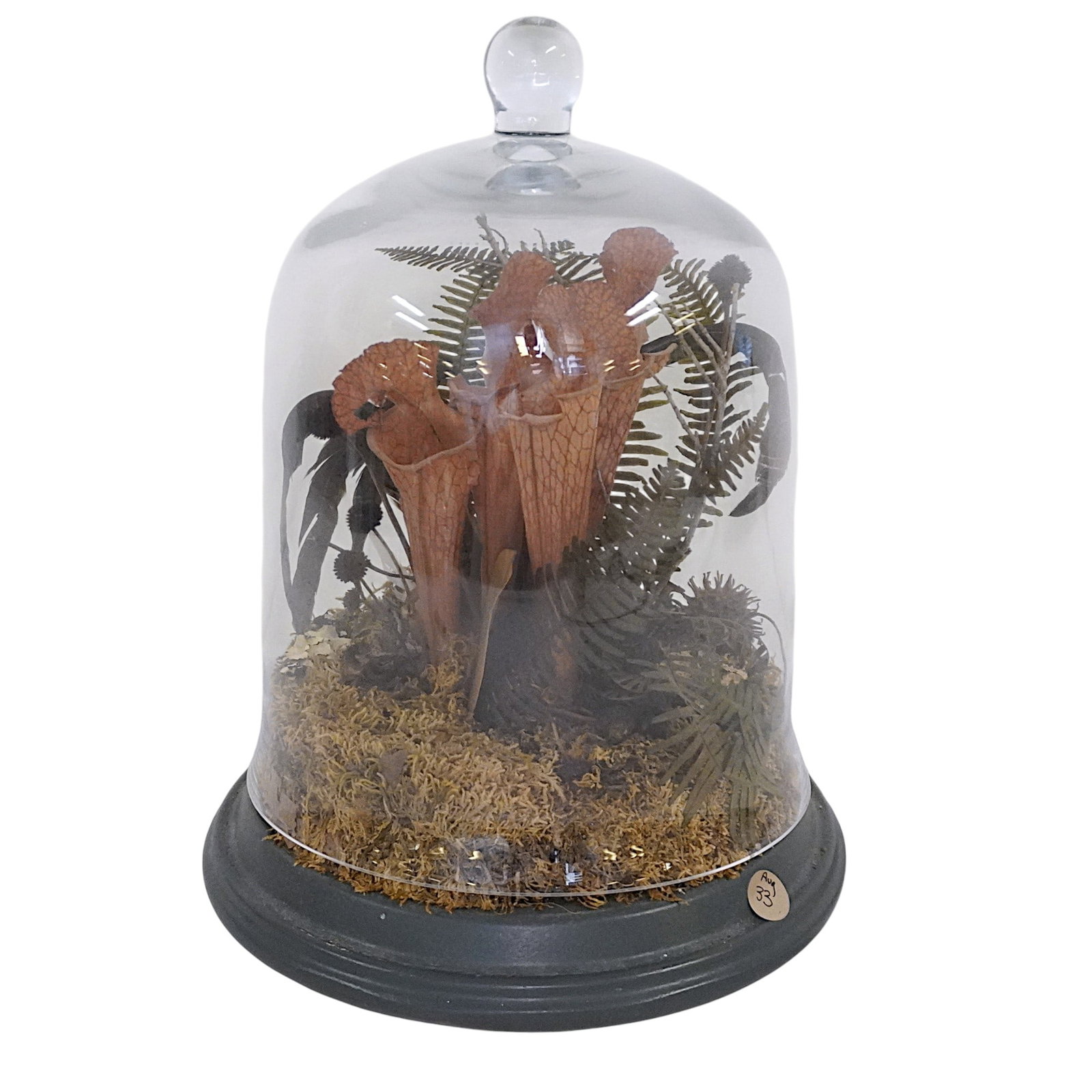 VINTAGE BOTANICAL CLOCHE TERRARIUM DISPLAY (1 of 2)
