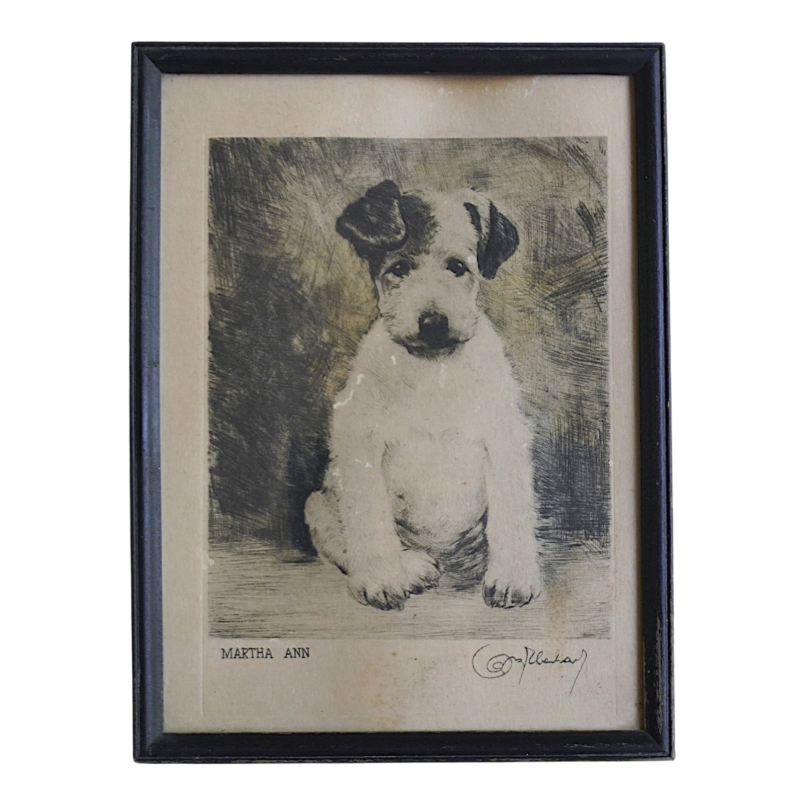 VINTAGE ETCHING "MARTHA ANN" FOX TERRIER BY KURT MEYER EBERHARDT (1 of 4)