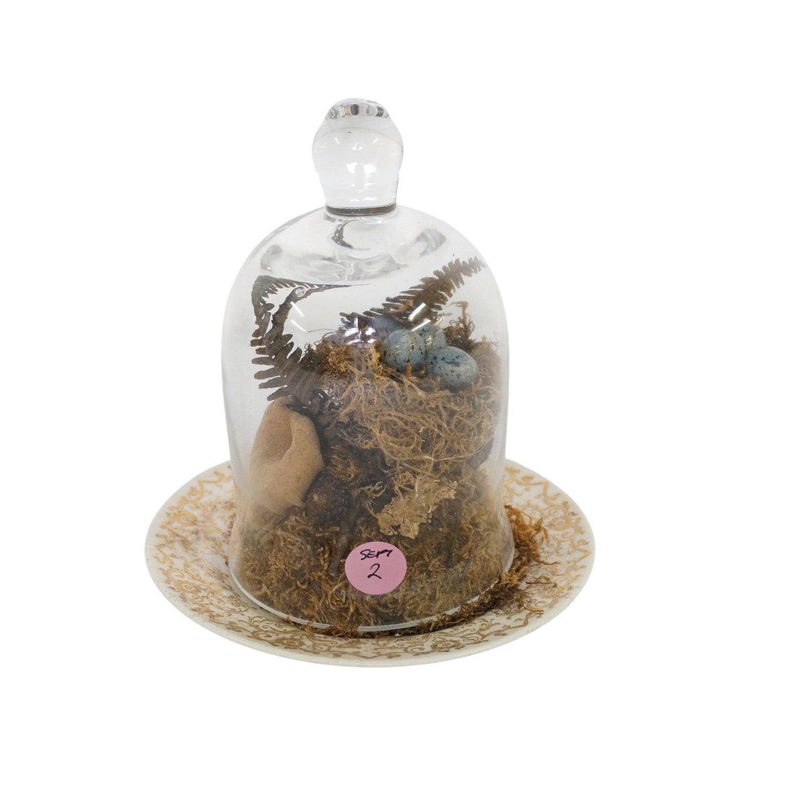 BLOWN GLASS CLOCHE DOME CENTERPIECE: A Blown Glass Cloche Dome Centerpiece filled with preserves moss, a decorative birds nest and speckled eggs on a floral saucer Measures 5 1/2"x5 1/2"x6 1/2". Weight 1 lb 2 oz. PROVENANCE The Historic 