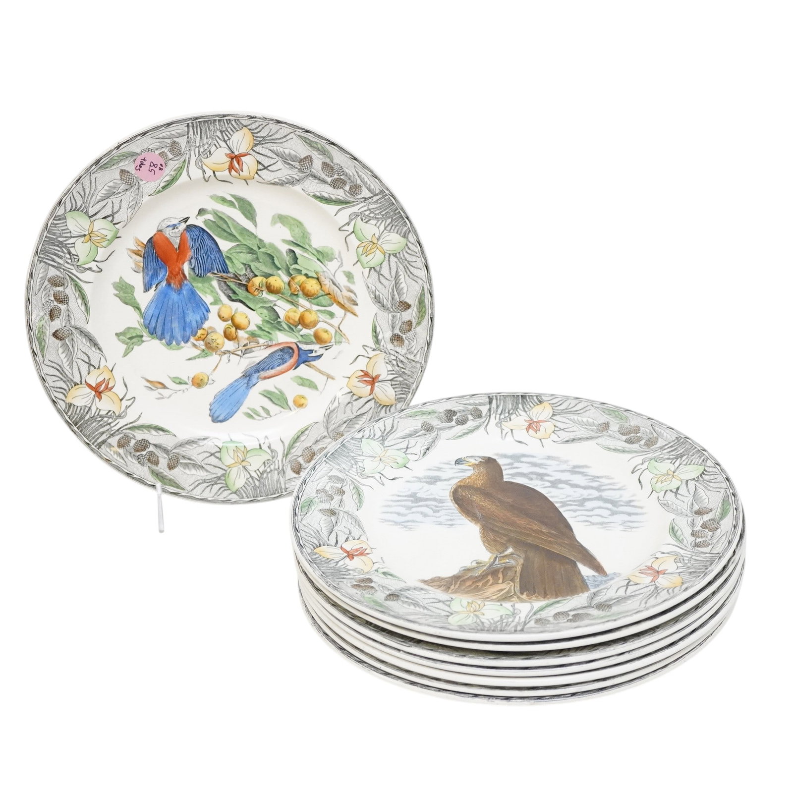 8 VINTAGE ADAMS BIRDS OF AMERICA DINNER PLATES (1 of 4)